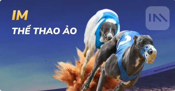 3BET the-thao-ao-im